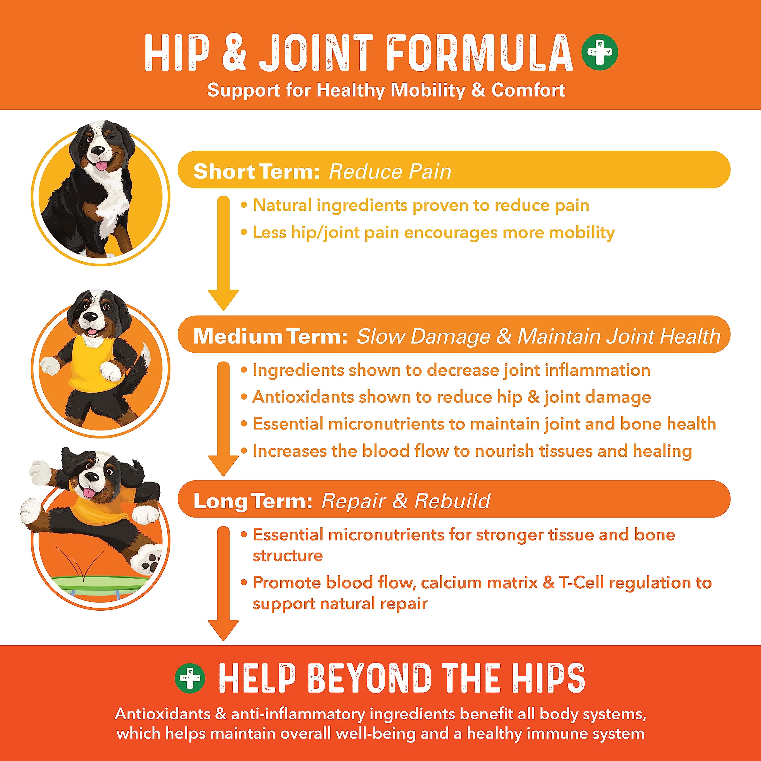 Close-up of Bernie's Healthy Hips chews highlighting tasty texture for dogs.