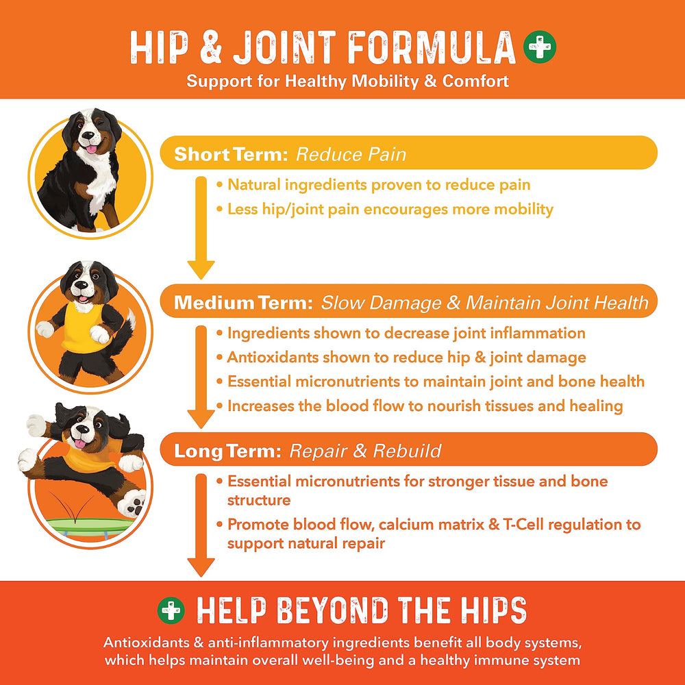 Close-up of Bernie's Healthy Hips chews highlighting tasty texture for dogs.