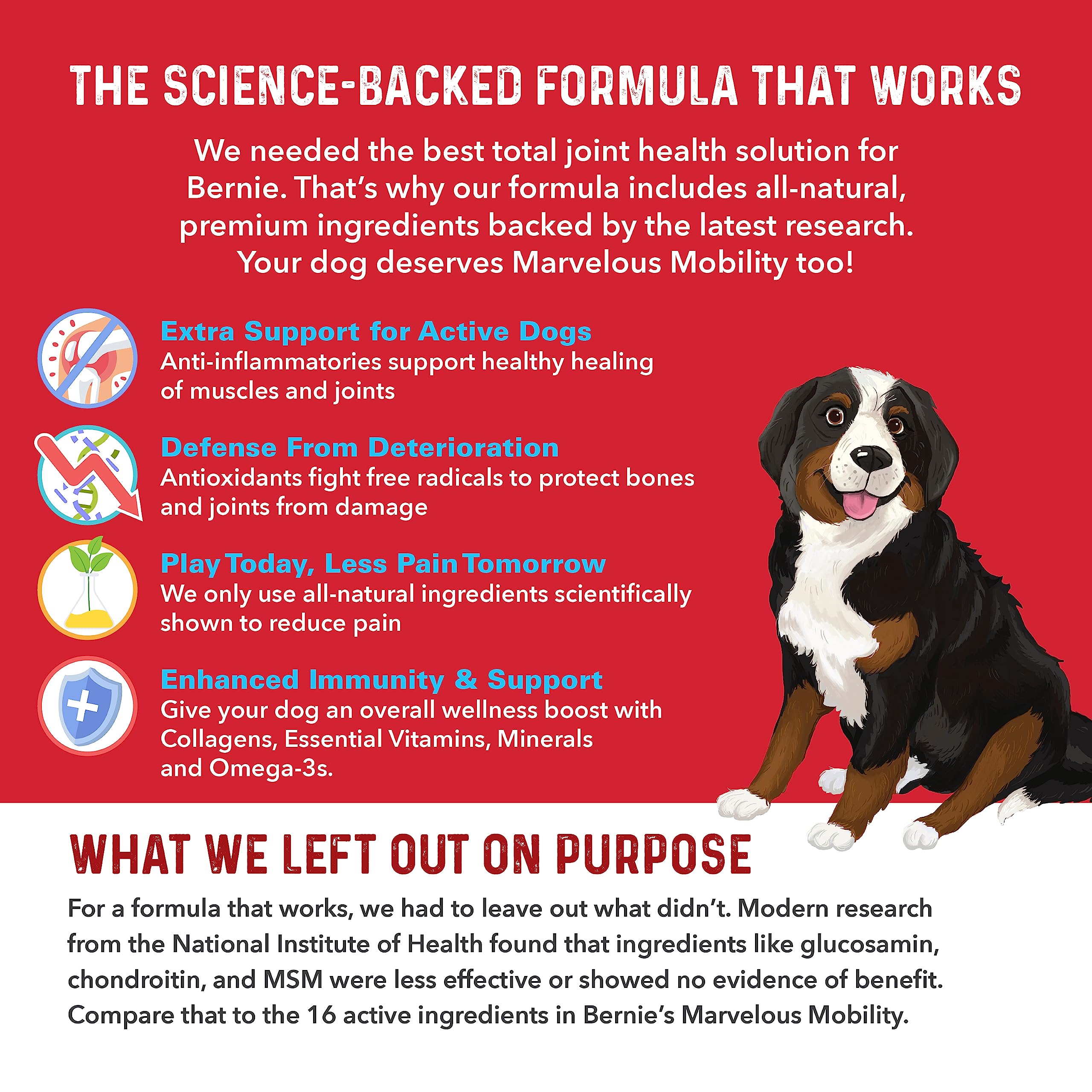 Bernie's Marvelous Mobility dog paw print emphasizes active lifestyle and joint care integration