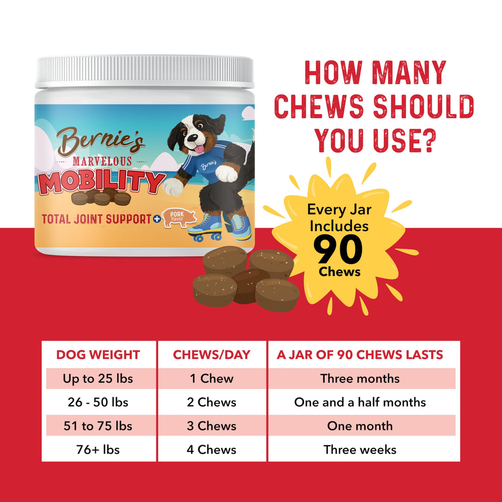Bernie's Marvelous Mobility ingredients chart outlines 16 active ingredients for comprehensive support
