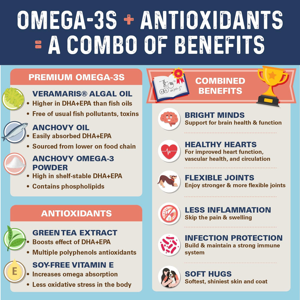 Bernie's OMG Omegas dog-eating chews demonstrate convenient daily support for healthy coat.