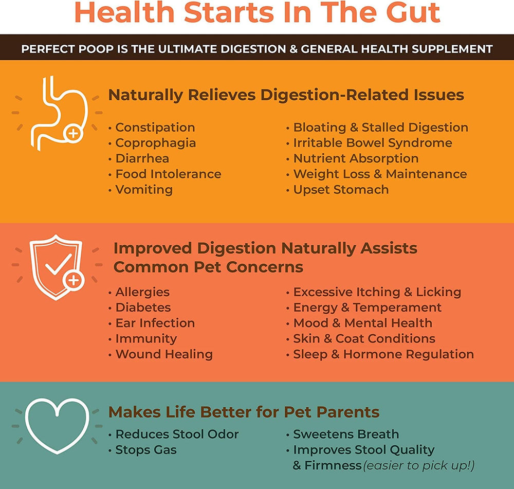 Bernie's Perfect Poop on a dog's meal demonstrates a gut-friendly routine.