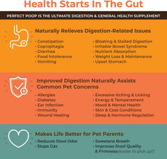 Bernie's Perfect Poop on a dog's meal demonstrates a gut-friendly routine.