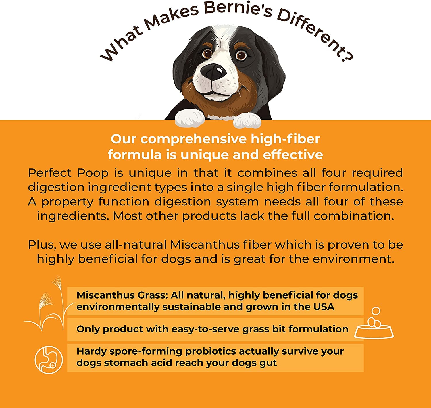 Bernies Perfect Poop flax seed fibers shown for fiber support