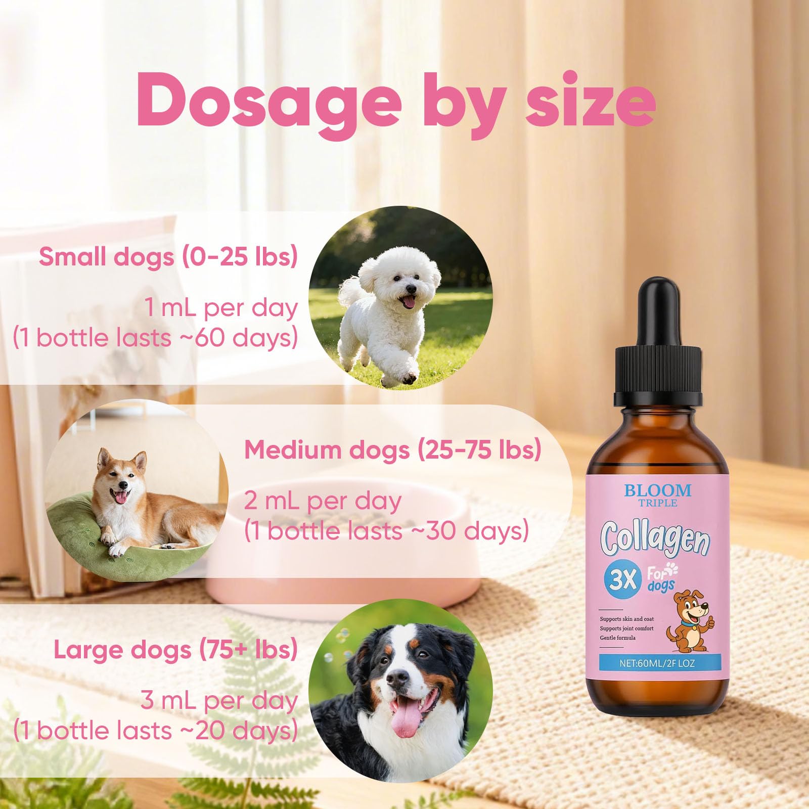 BERSEG Bloom Collagen on-the-go-use shows convenient dosing for busy pet parents.