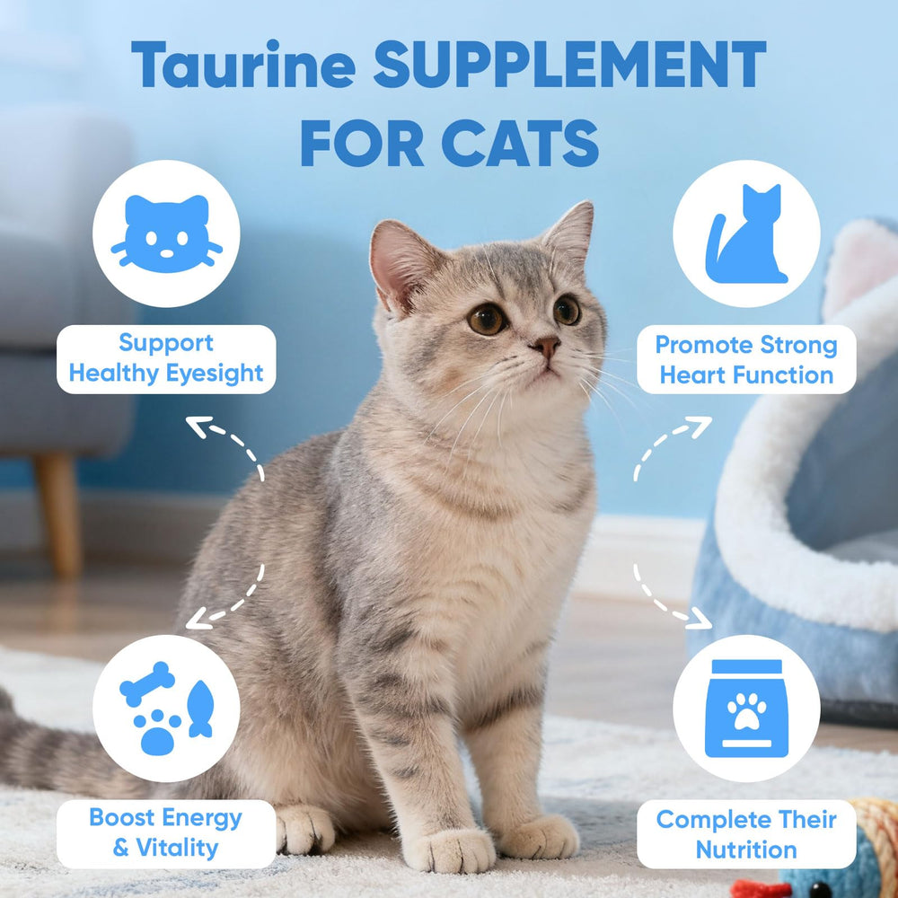 BERSEG KittySupps Taurine Powder dosing scoop enables precise measurements.