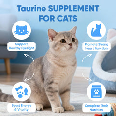 BERSEG KittySupps Taurine Powder dosing scoop enables precise measurements.