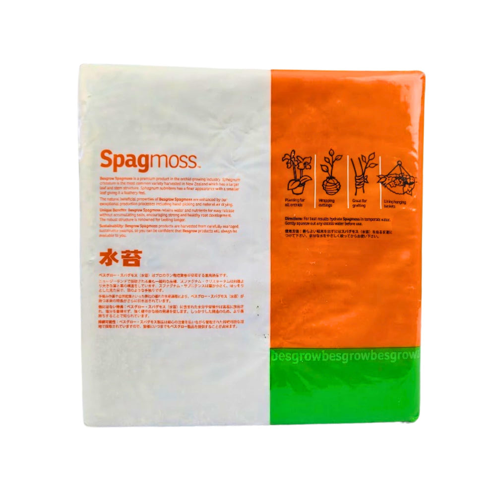 Besgrow Spagmoss 4-inch strands ideal for water retention in pots.