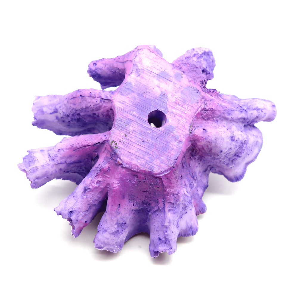 Besimple coral ornament offers a durable, low-maintenance decorative feature.