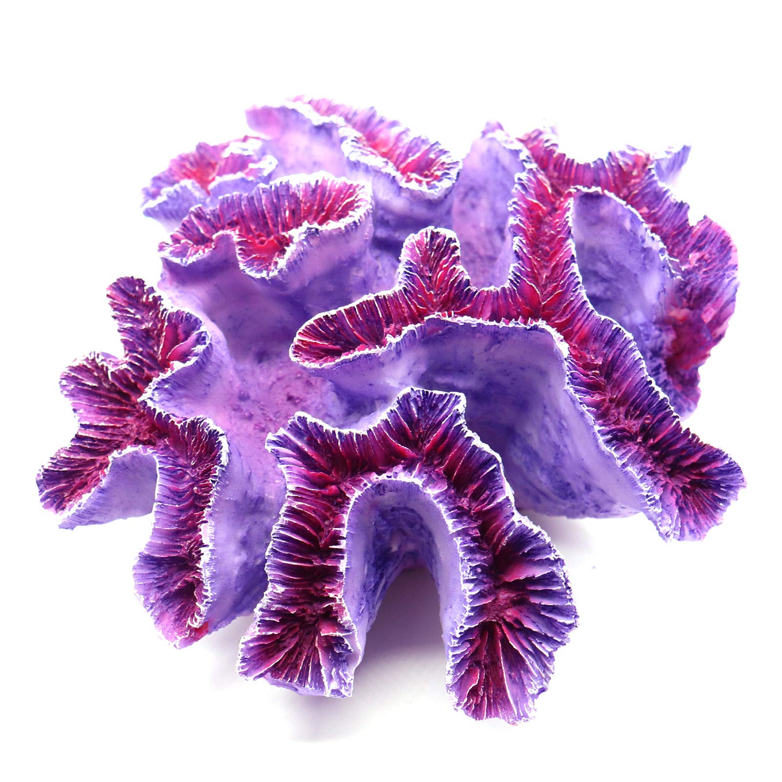 Besimple coral ornament imitates lifelike corals for interactive fish play.