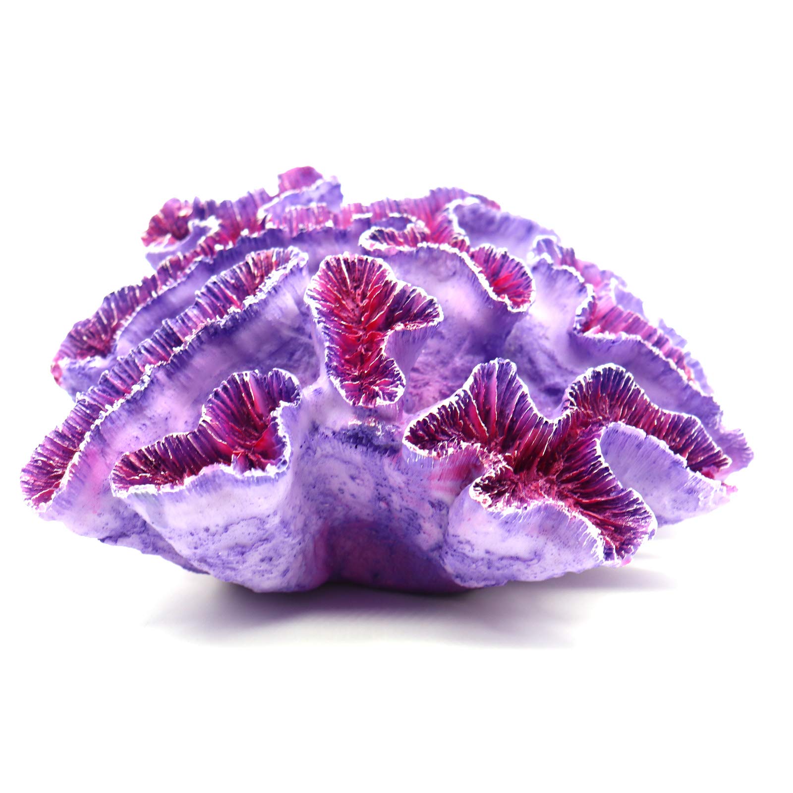 Besimple aquarium ornament stays vibrant with minimal upkeep.