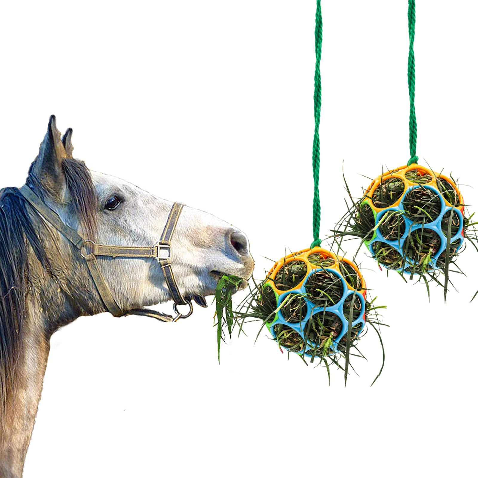 Besimple horse feeder ball hanging blue in stable for enrichment.