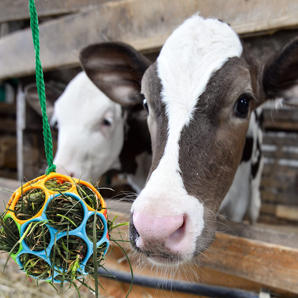 Besimple colorful pack of feeder balls for horses and goats in paddock.
