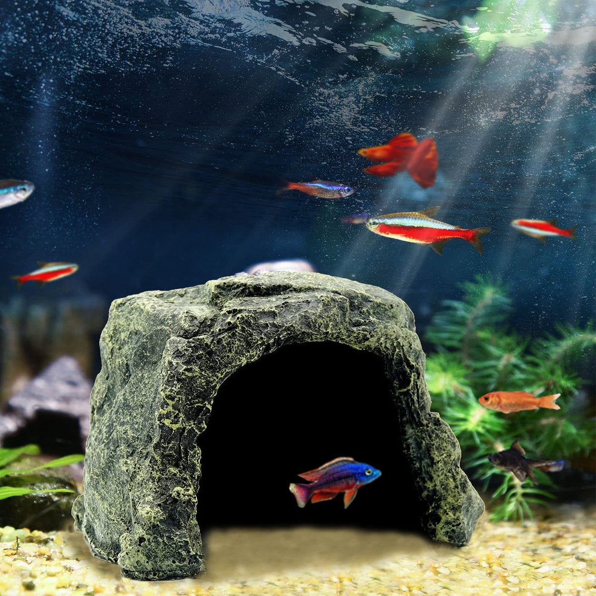Besimple rock hide cave decor creates realistic aquatic scenery and a hiding spot.