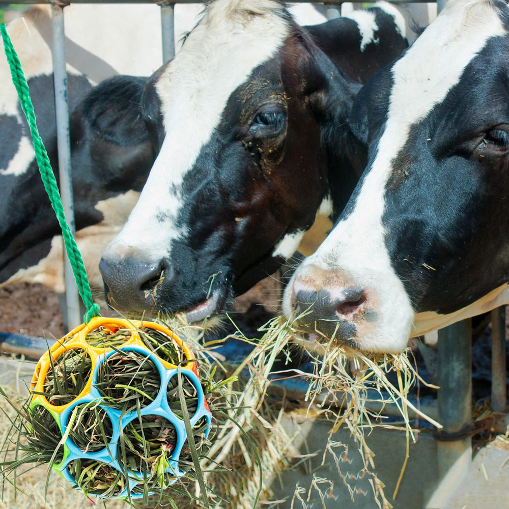 Besimple stable toy for horses offering quiet activity.