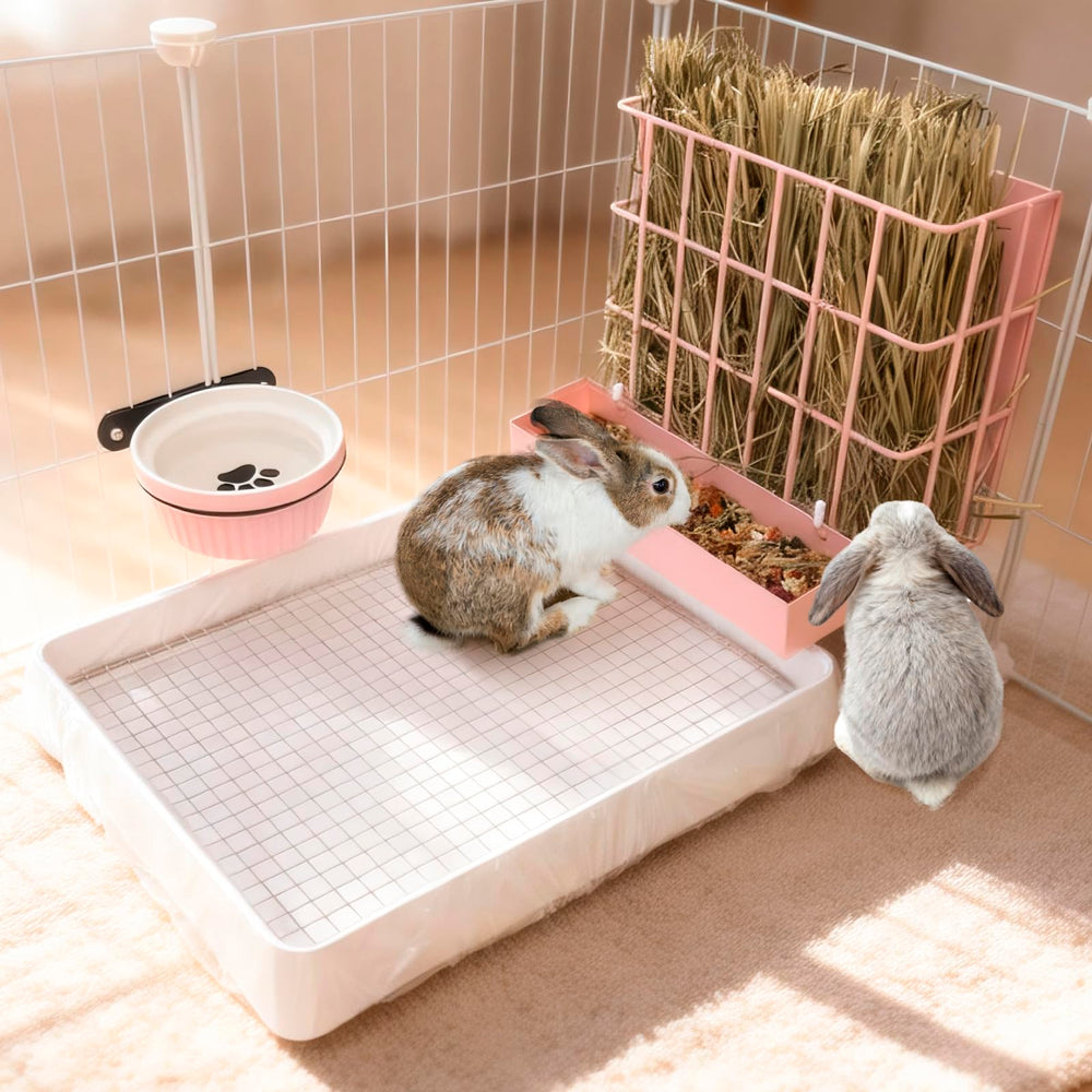 BESNEW 3-in-1 design easily fits most cages for space-saving setup.