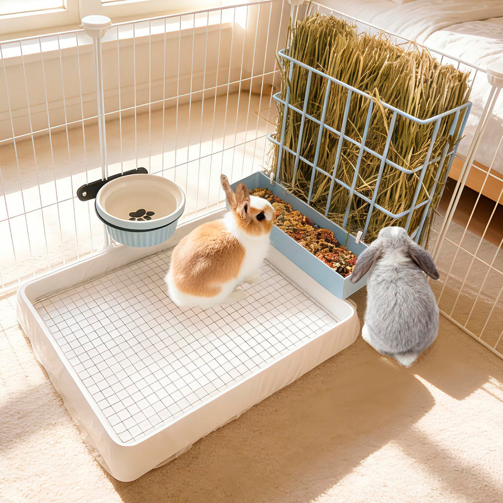 BESNEW 3-in-1 rabbit feeder installation guide available