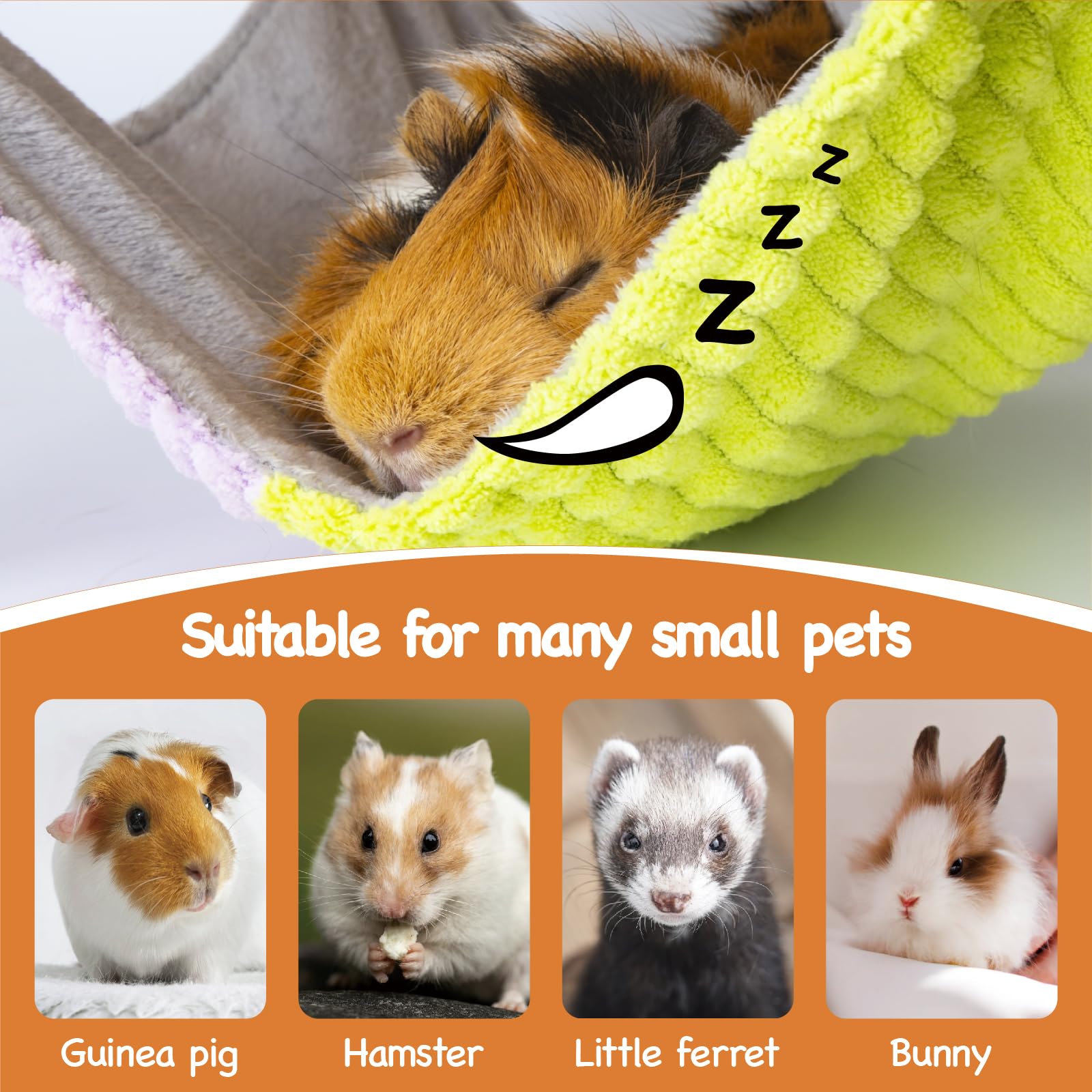 BESNEW platform with guardrails protects guinea pigs while they explore.