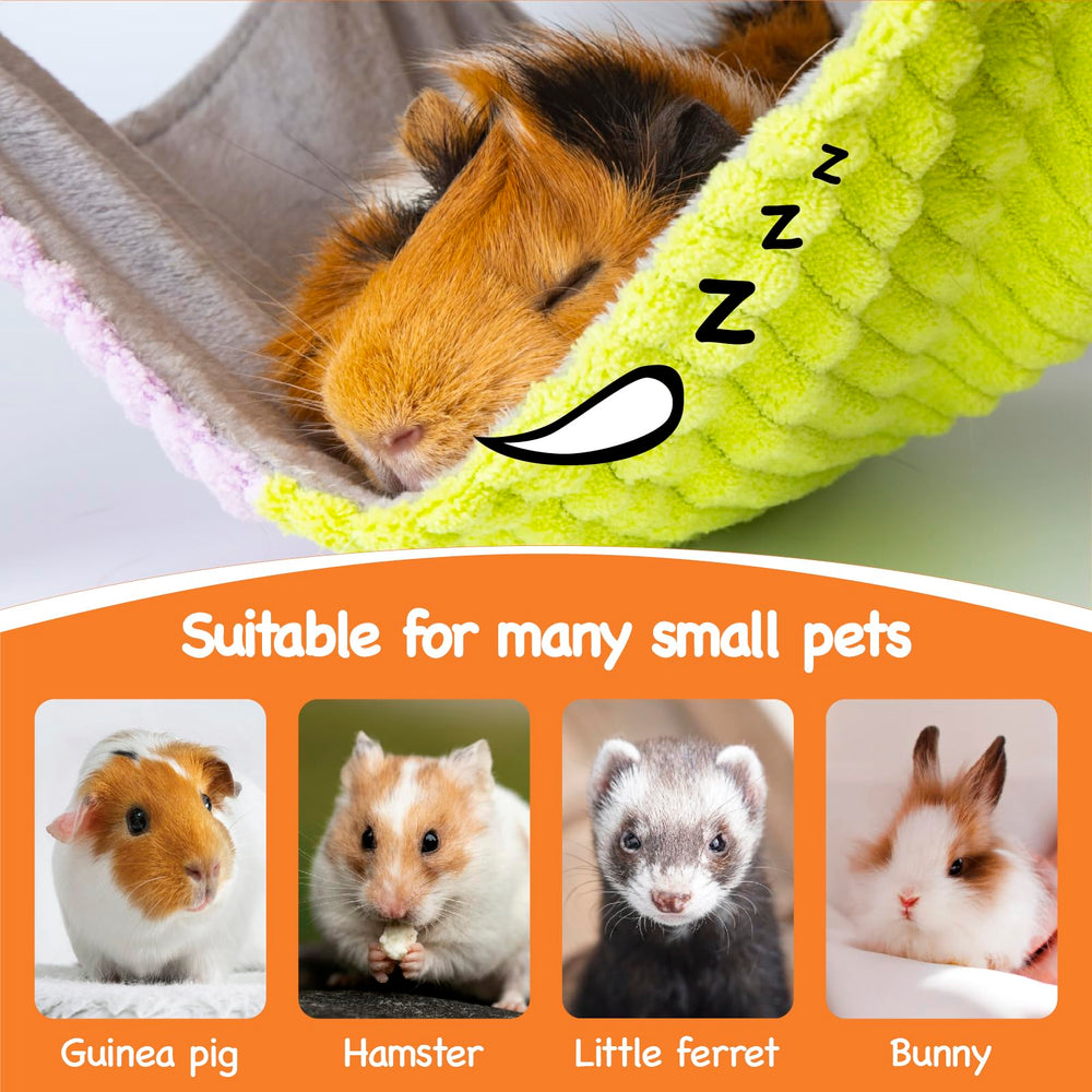 BESNEW platform with guardrails protects guinea pigs while they explore.