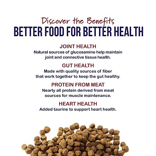 Best Breed Digestive Health Formula in bowl supports balanced digestion for large dogs.