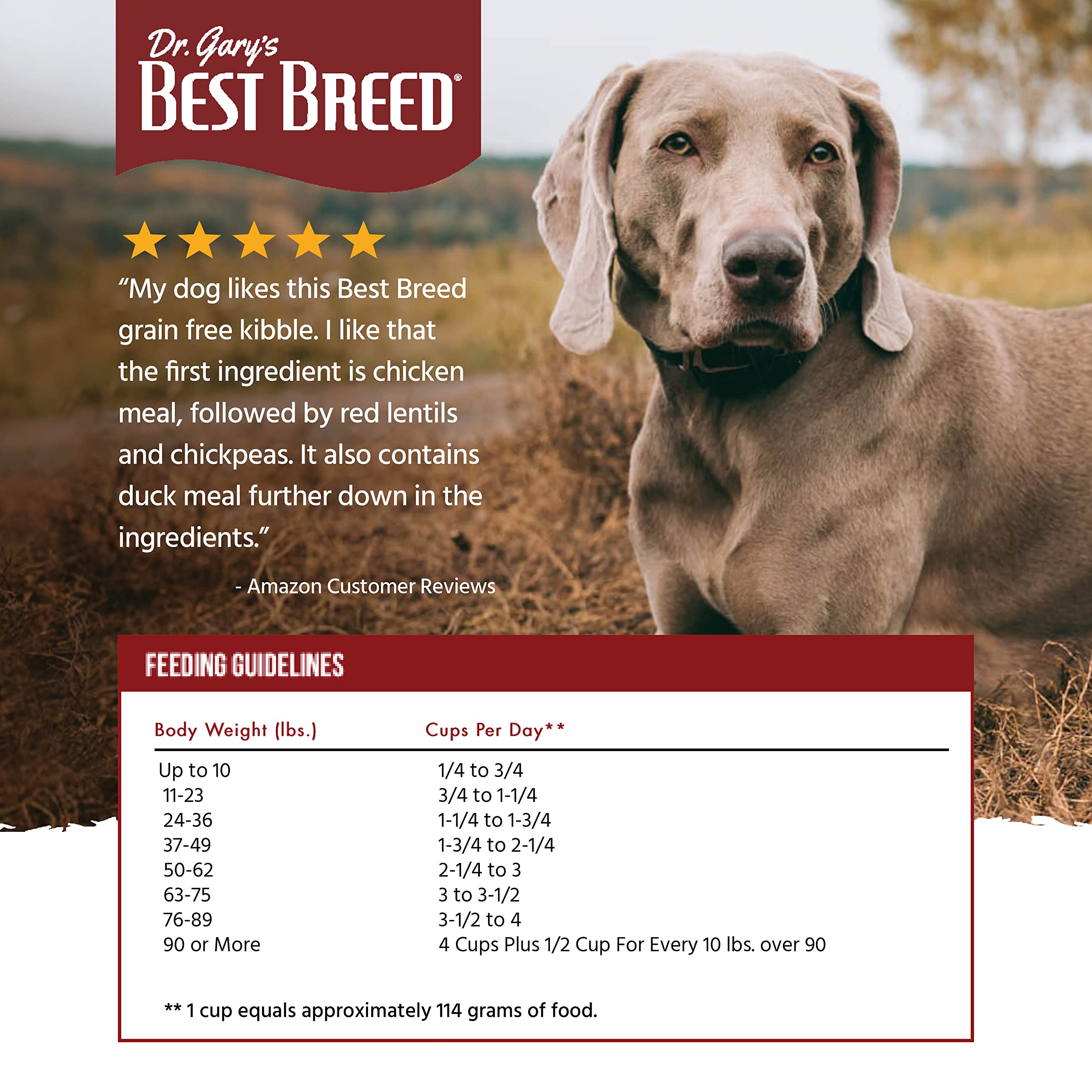 Best Breed Dr. Gary's Ocean Recipe USA-made slow-cooked dog food