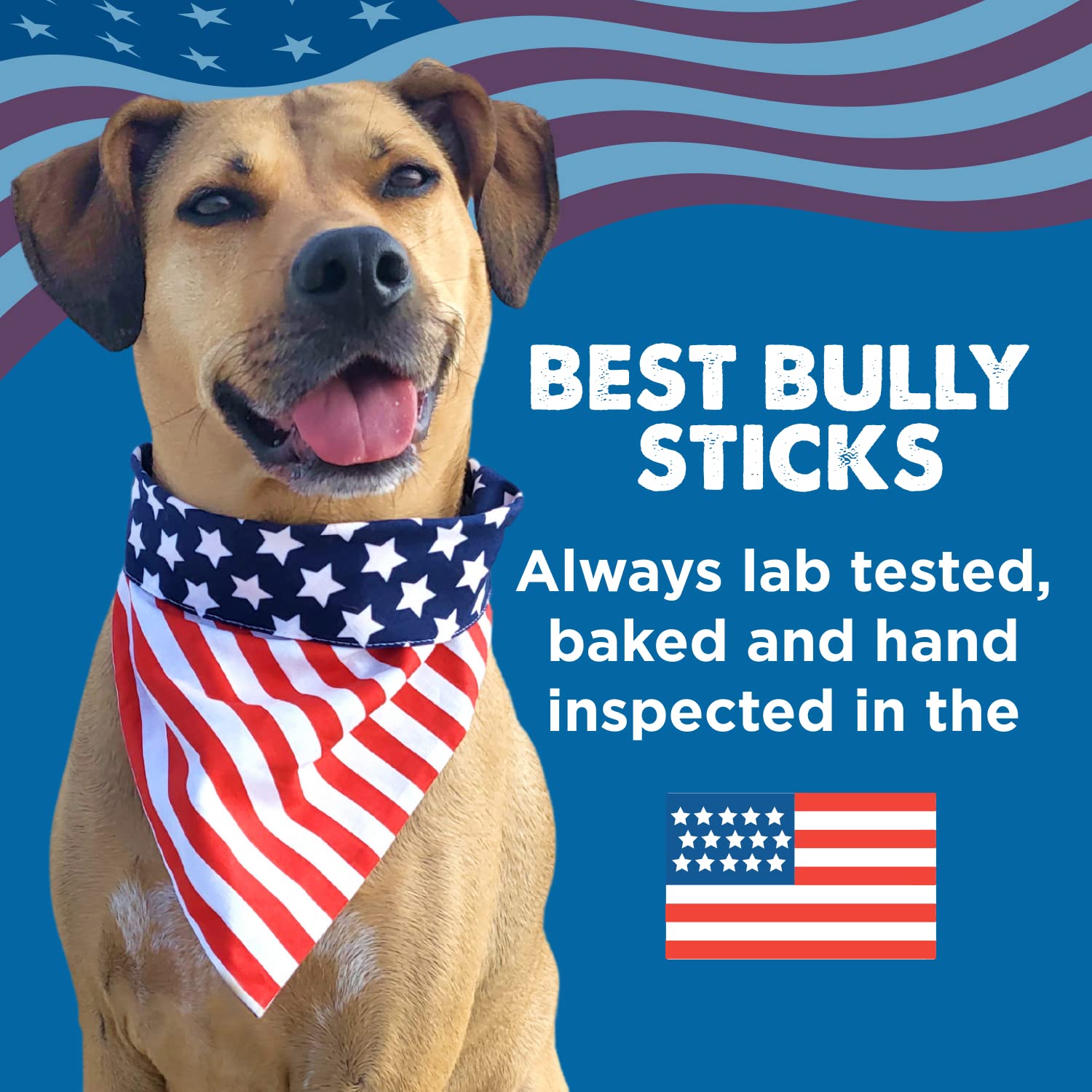 Best Bully Sticks 4-count pack ideal for sharing and rotation.
