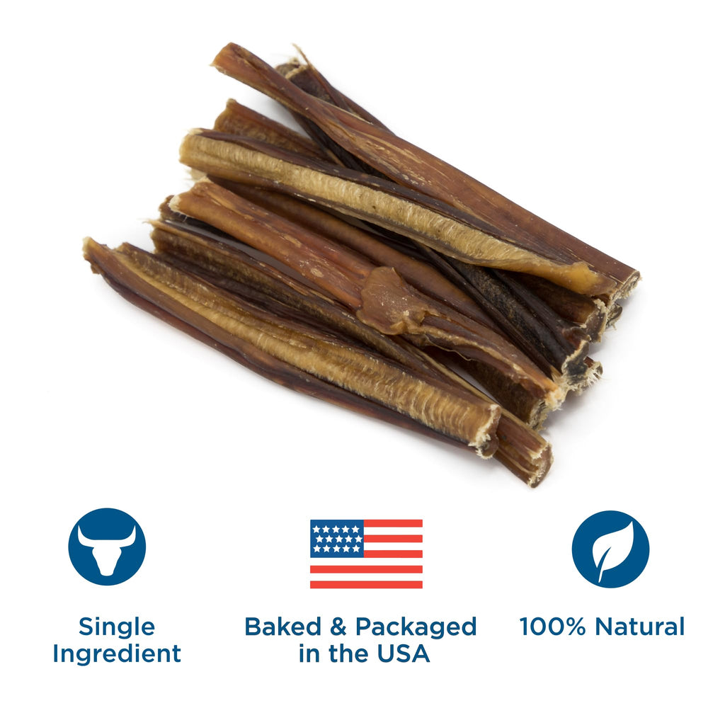 Dog chewing Best Bully Sticks 6-inch thin sticks, rawhide-free and safe.