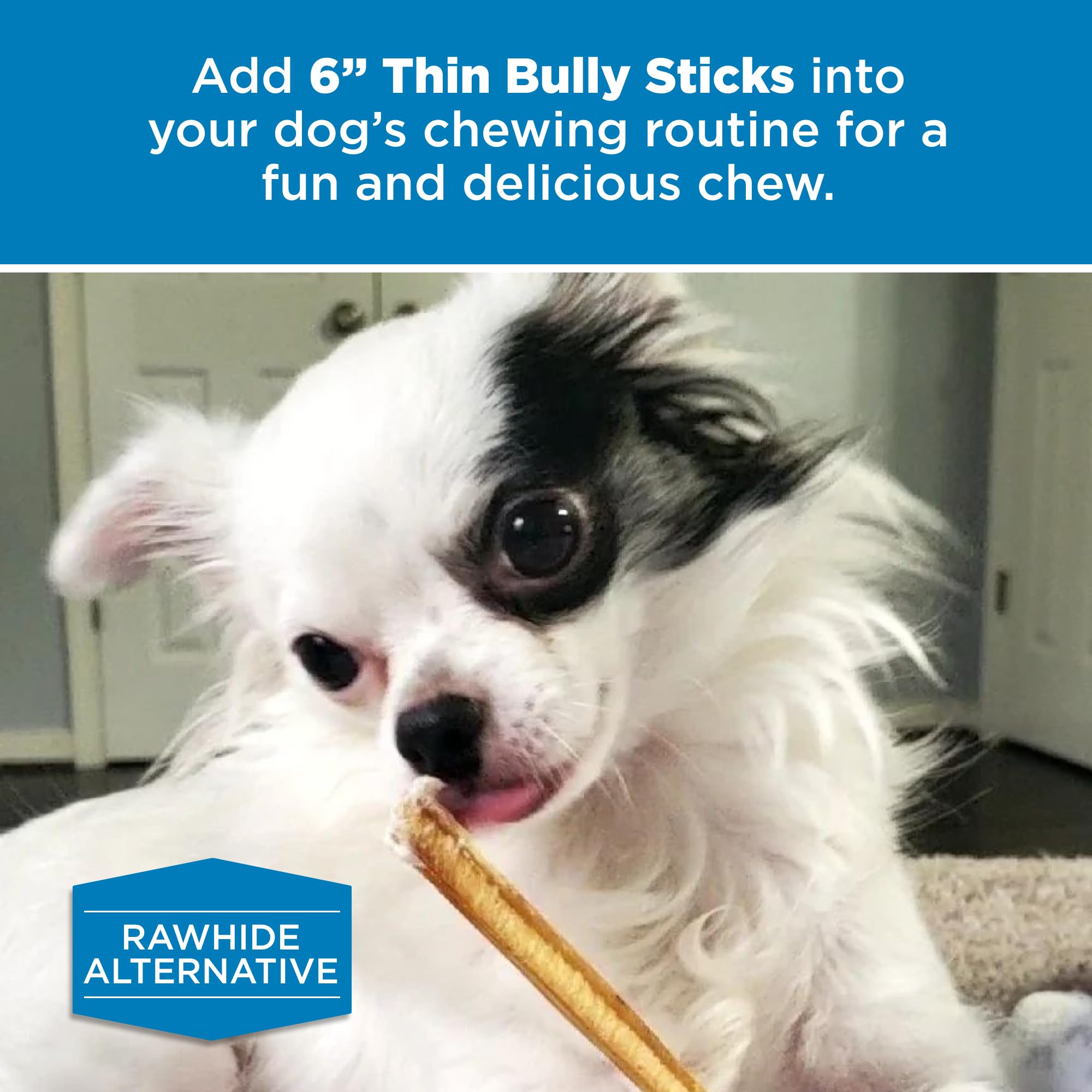 Packaging shot of Best Bully Sticks 6-inch thin sticks, 24-count box.