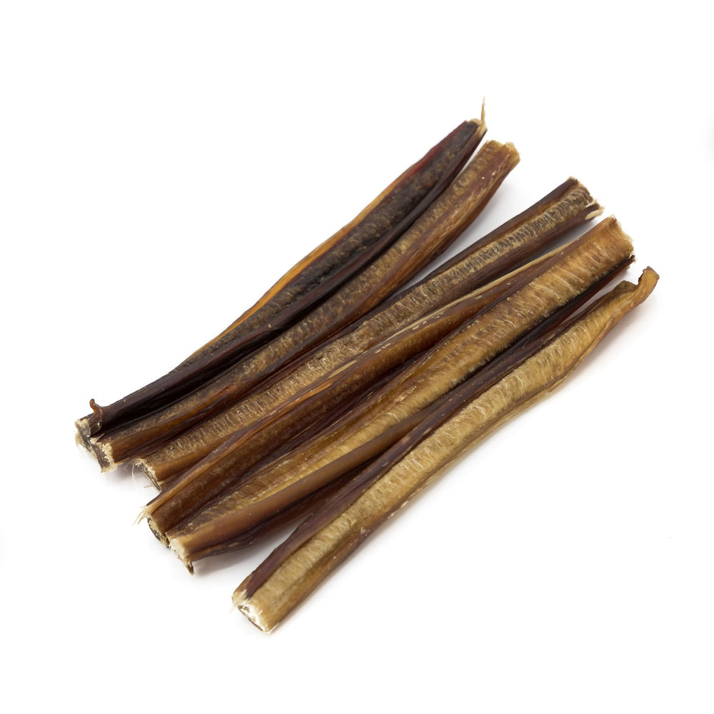 Puppy teething moment with Best Bully Sticks 6-inch thin sticks, soothing gums.