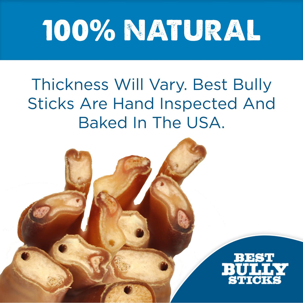 Best Bully Sticks 6-Inch Jumbo beef pizzle, single-ingredient chew