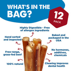 Best Bully Sticks 6-Inch Jumbo rawhide-free chew, safe alternative for power chewers