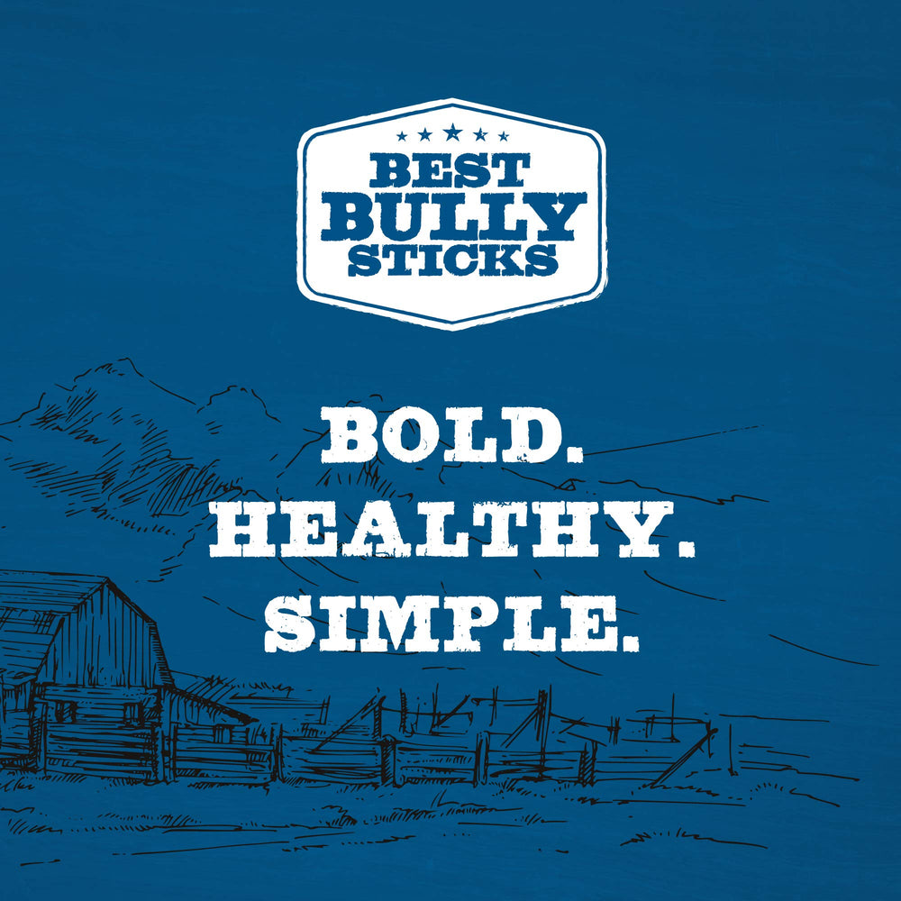 Best Bully Sticks 6-Inch Jumbo single-ingredient chew with no artificial additives
