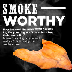 Best Bully Sticks all-natural pork ears shown as safe, single-ingredient chew.