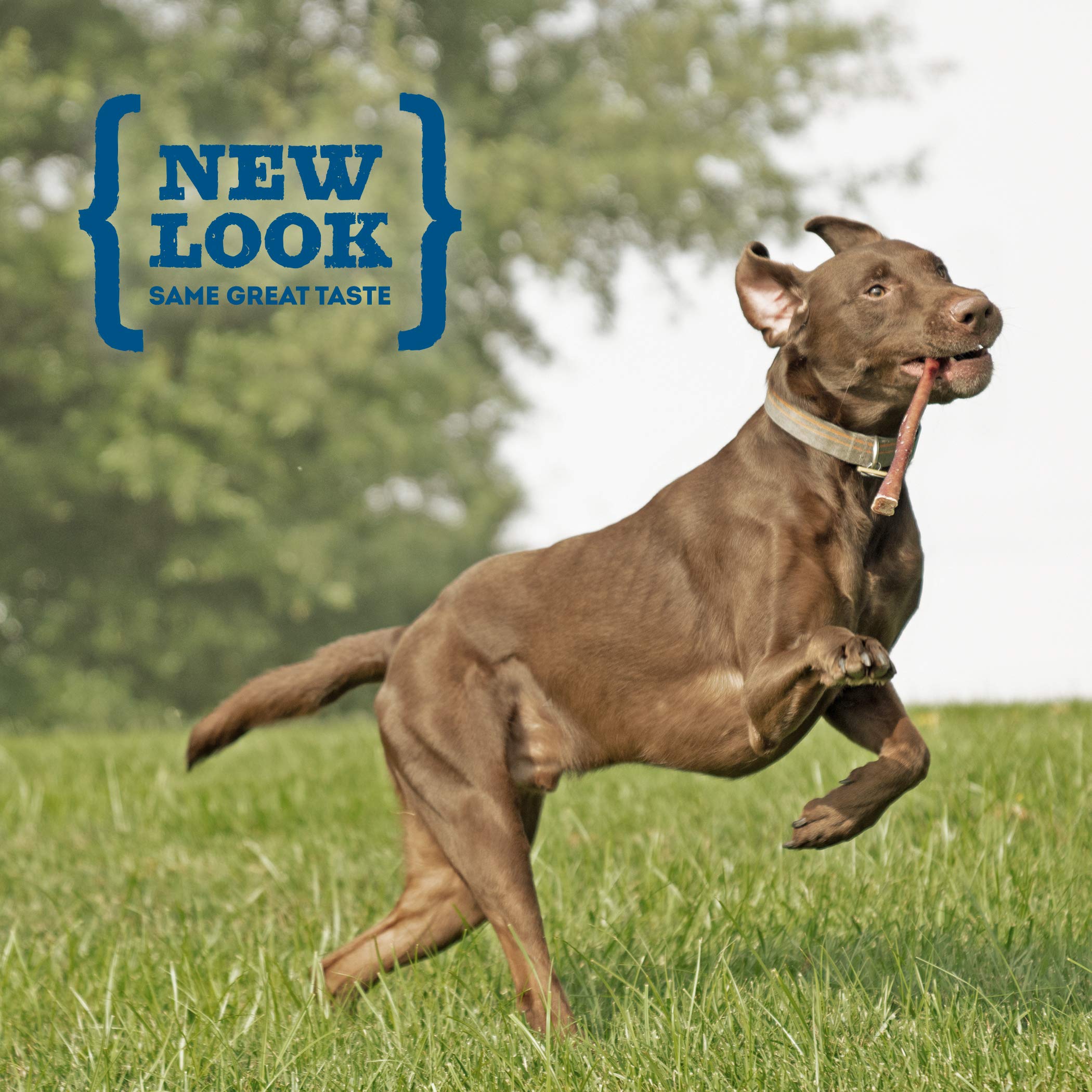 Best Bully Sticks beef bladder stick free-range beef origin and natural flavor