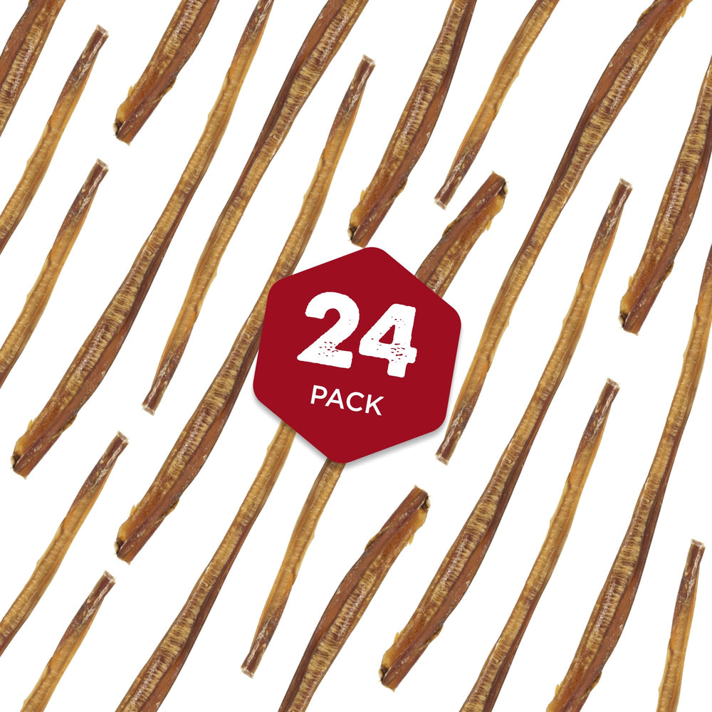 Durable chew in action, designed to support long-lasting interest.