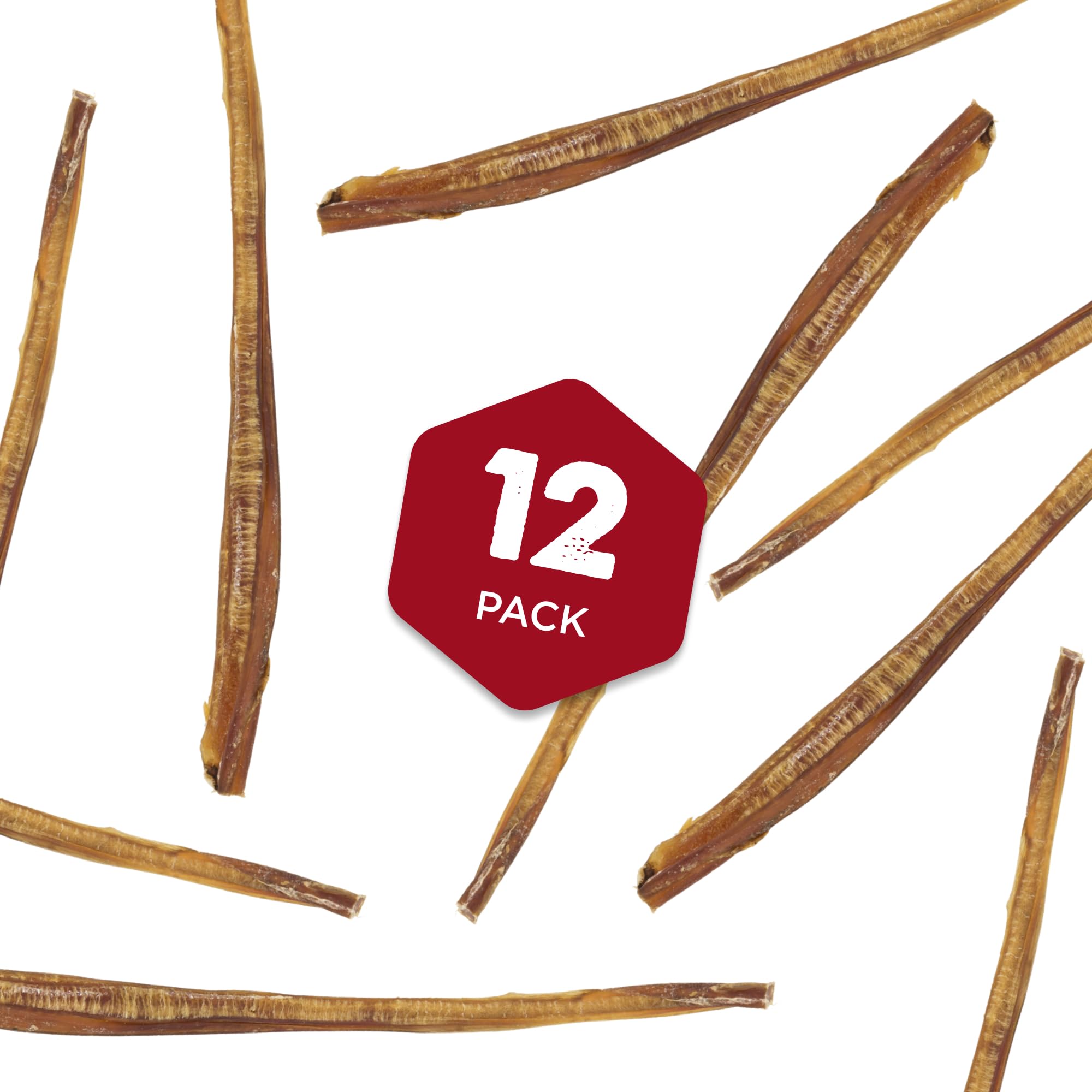 Best Bully Sticks dental health chew action demonstrates tartar-scraping potential during chewing.