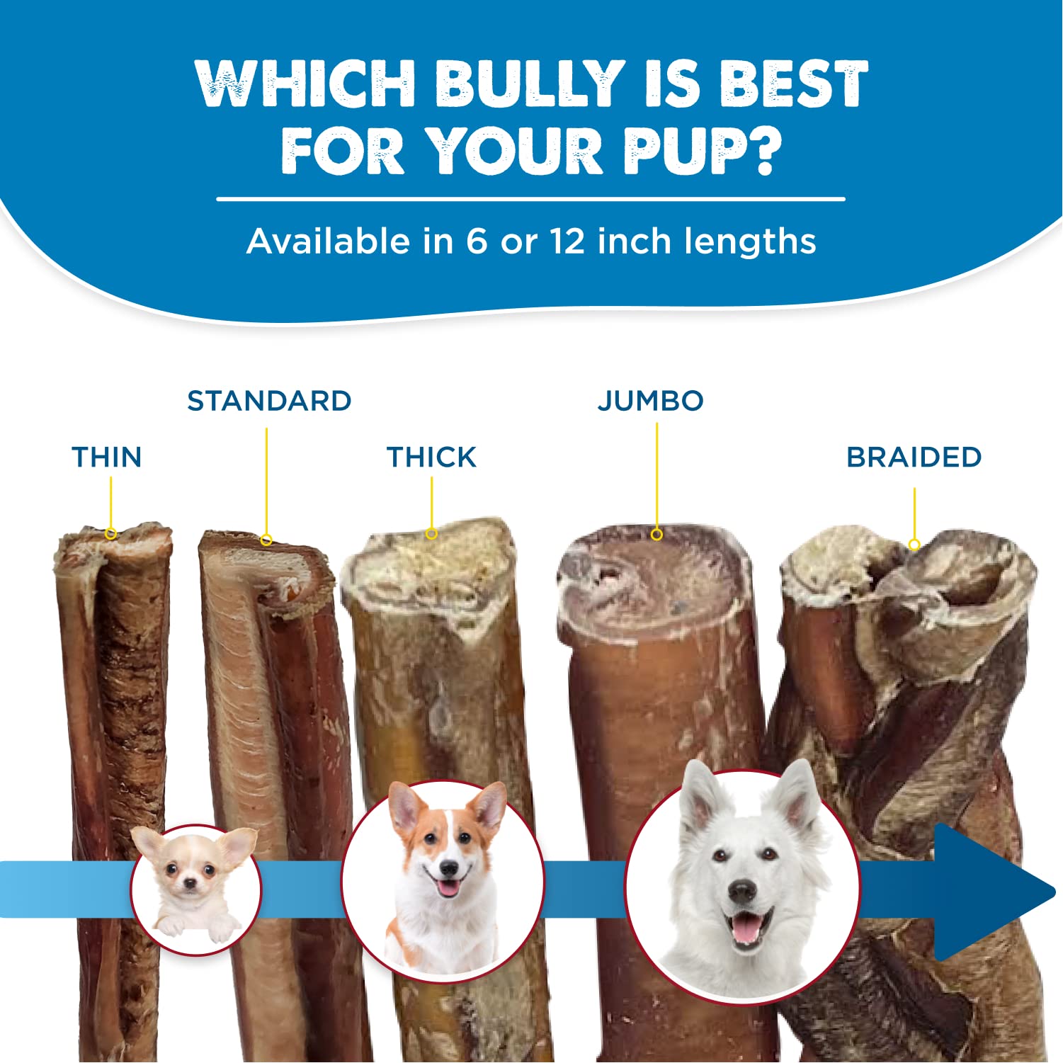 Best Bully Sticks dental health chew shows tartar reduction through chewing action