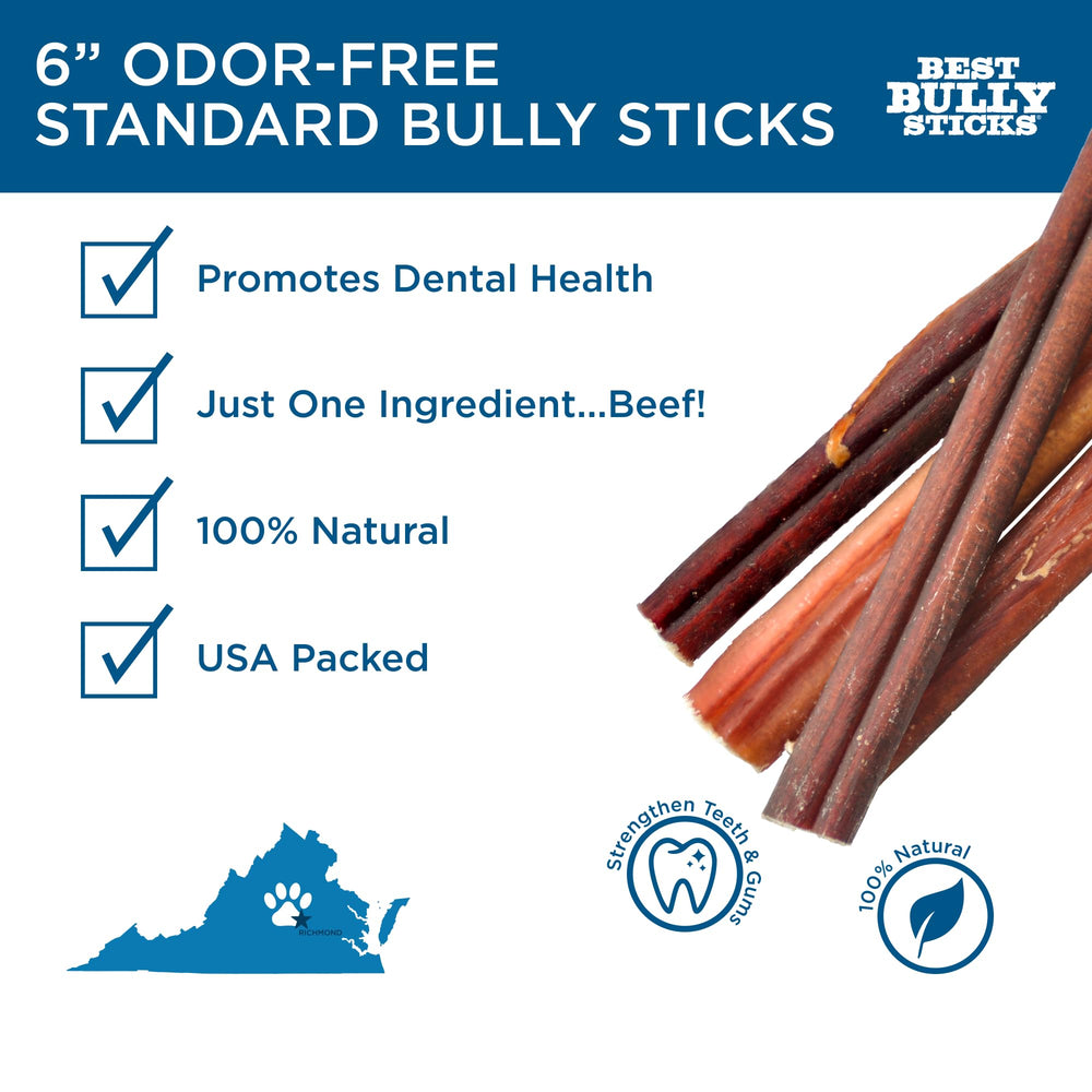 Durable 6 inch Best Bully Sticks chew for strong chewers in action