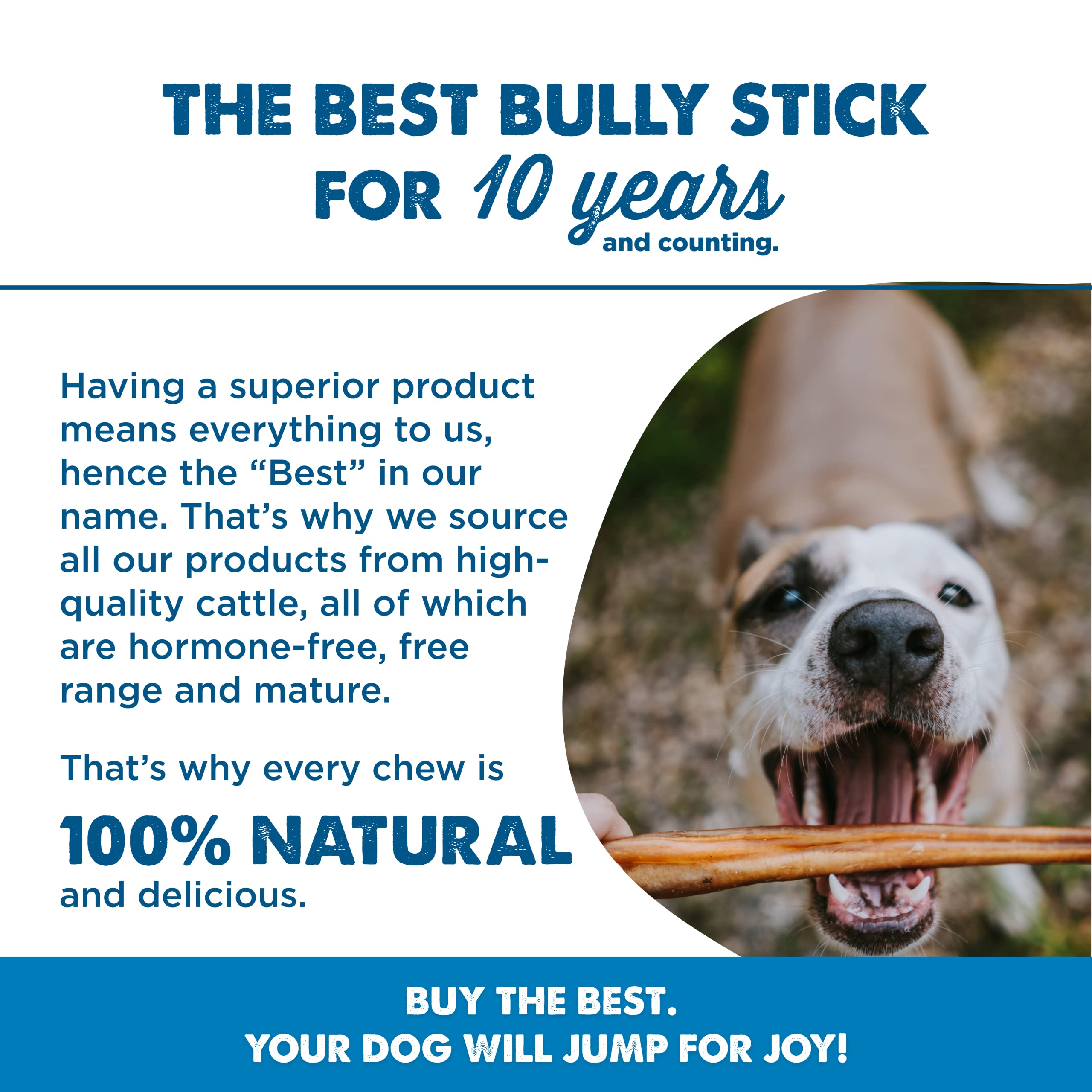 Best Bully Sticks grass-fed beef with simple ingredients