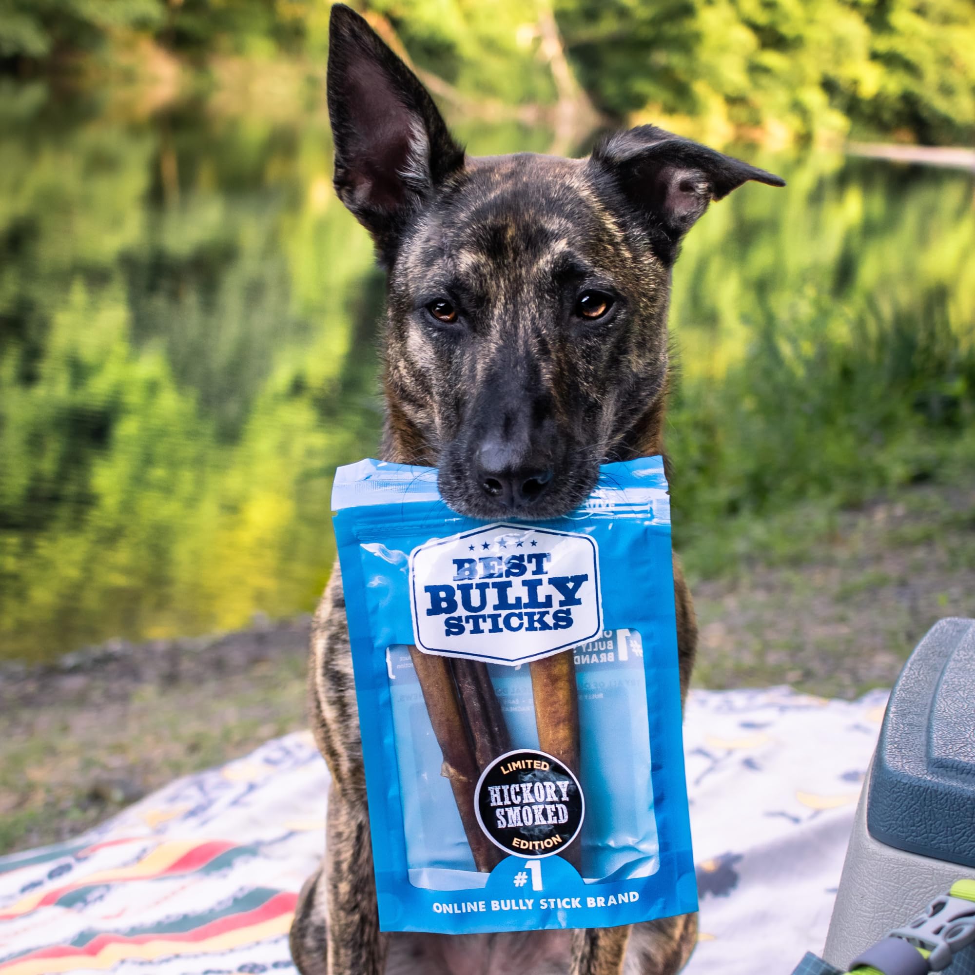 Ingredients panel for Best Bully Sticks Hickory Smoked 6in rawhide-free snack