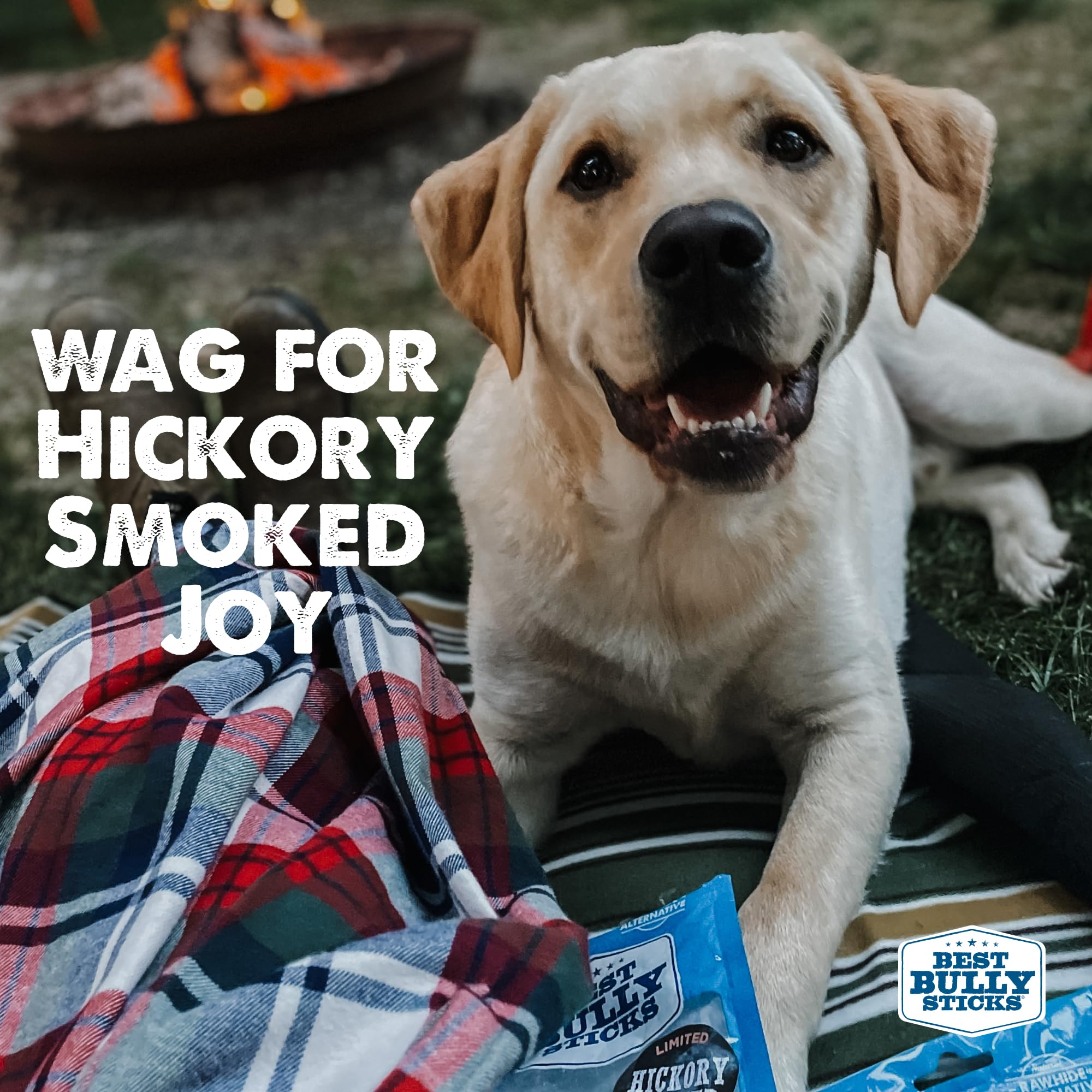 Best Bully Sticks hickory-smoked six-inch pack contents for long-lasting treats.