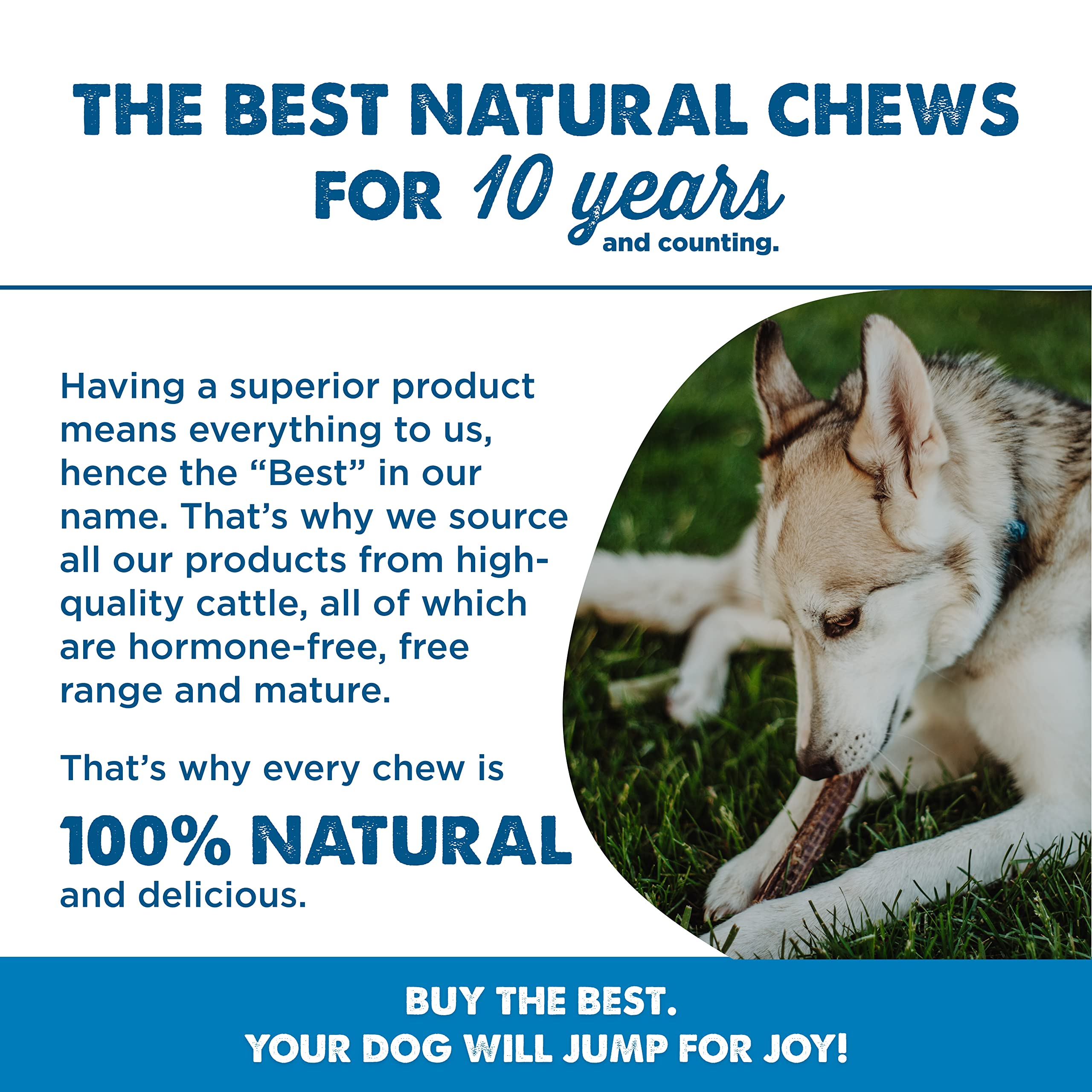 Best Bully Sticks high-protein beef chews fuel active dogs