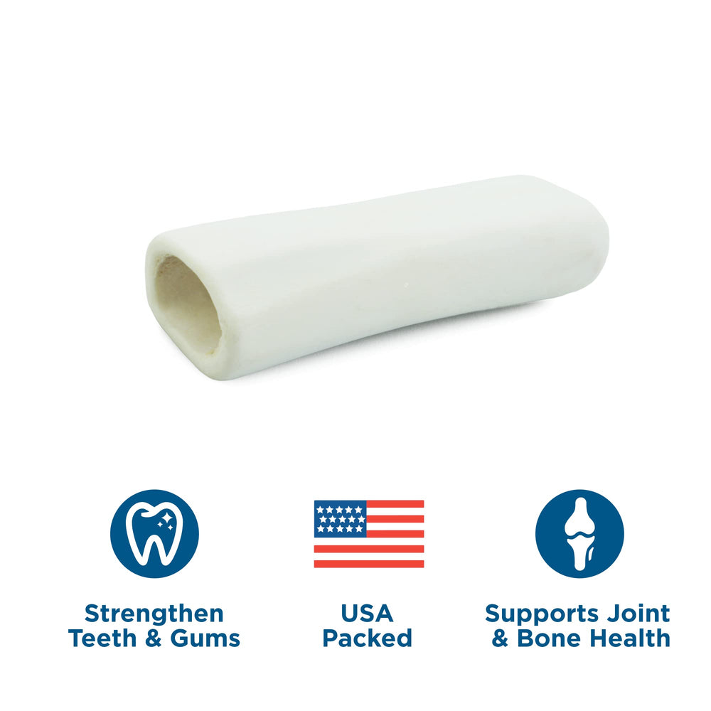 Best Bully Sticks 5-6 inch hollow shin bone in use for extended chewing.