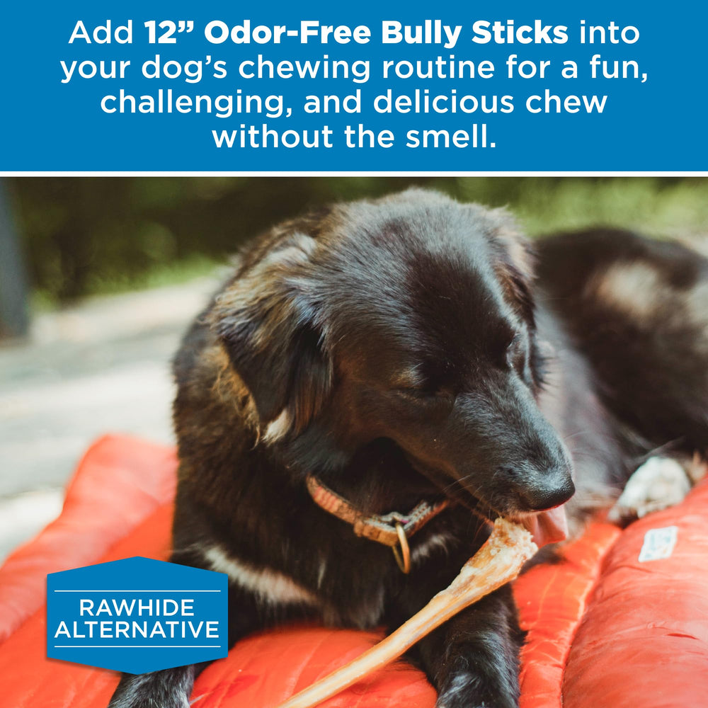 Best Bully Sticks no grain or rawhide label for safer chews