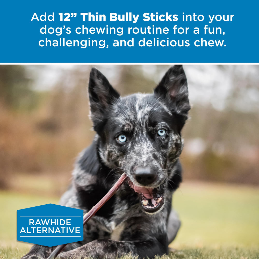 Front packaging shot highlighting 24-count bag and brand Best Bully Sticks.