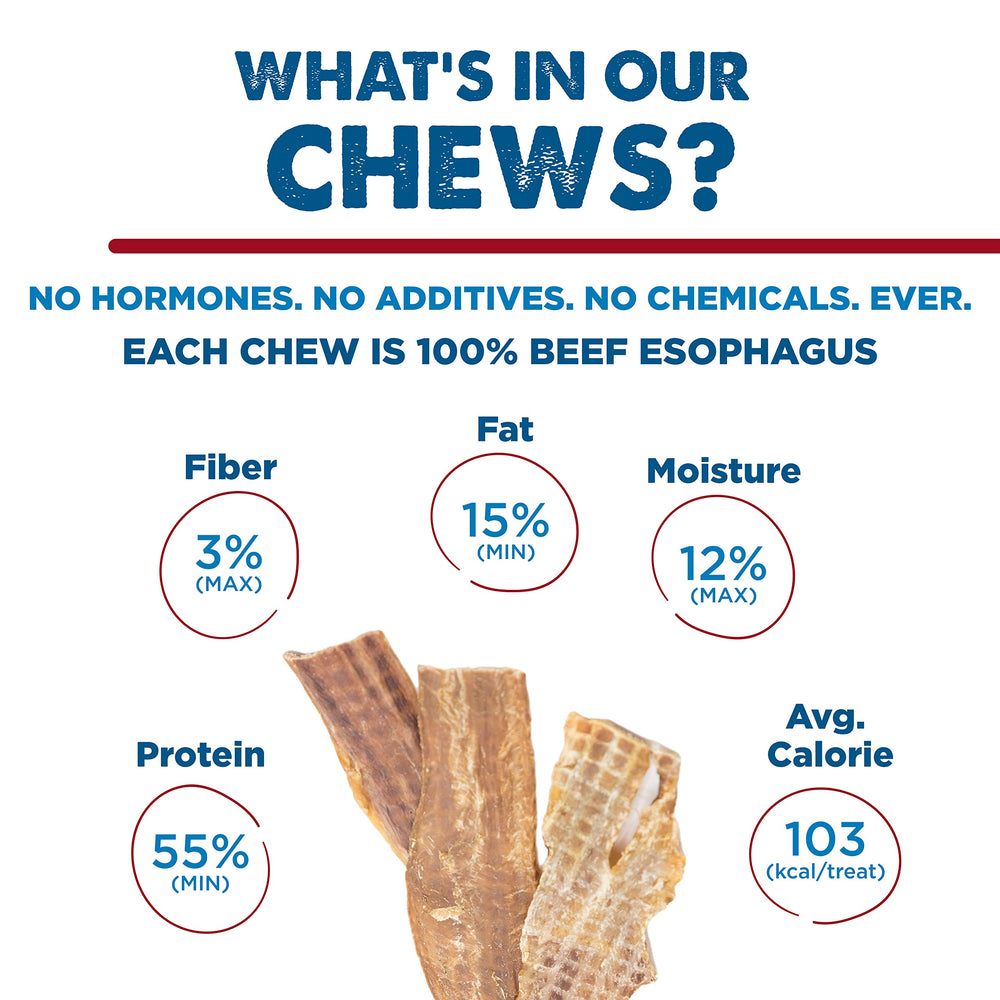 Best Bully Sticks rawhide-free claim highlights safer dog treats