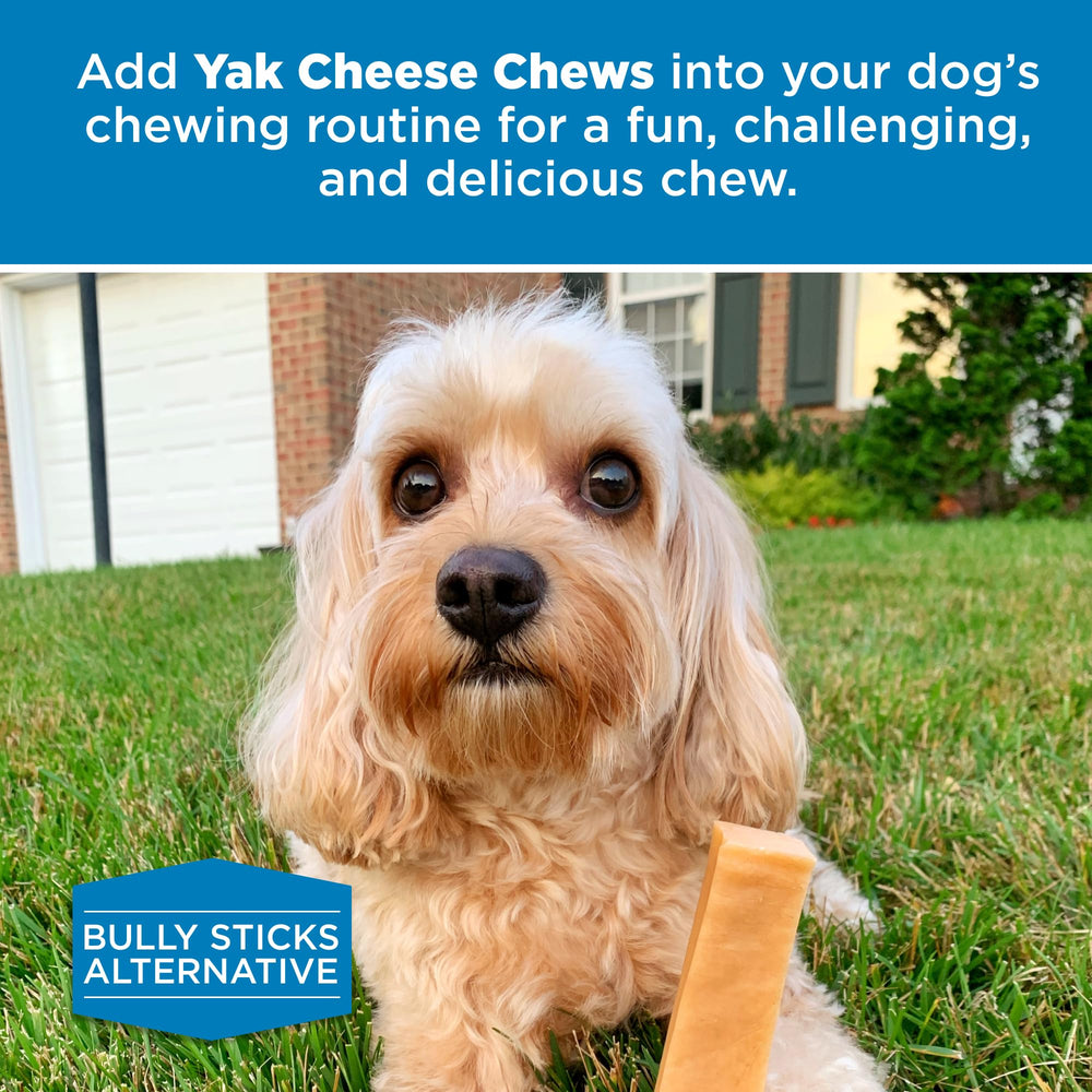 Rawhide-free dog chew option from Best Bully Sticks for large breeds