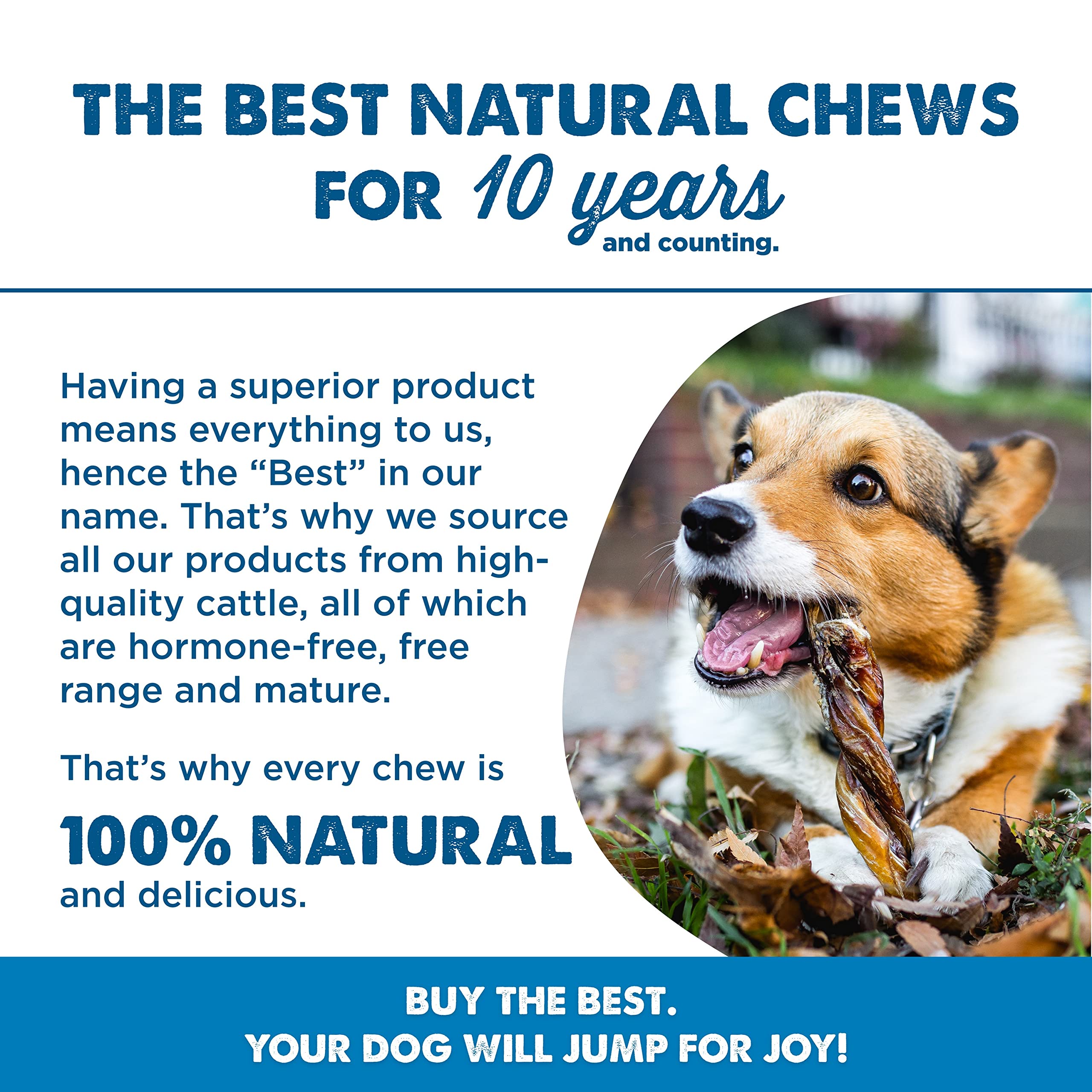 Best Bully Sticks rawhide-free and grain-free, a safer alternative.
