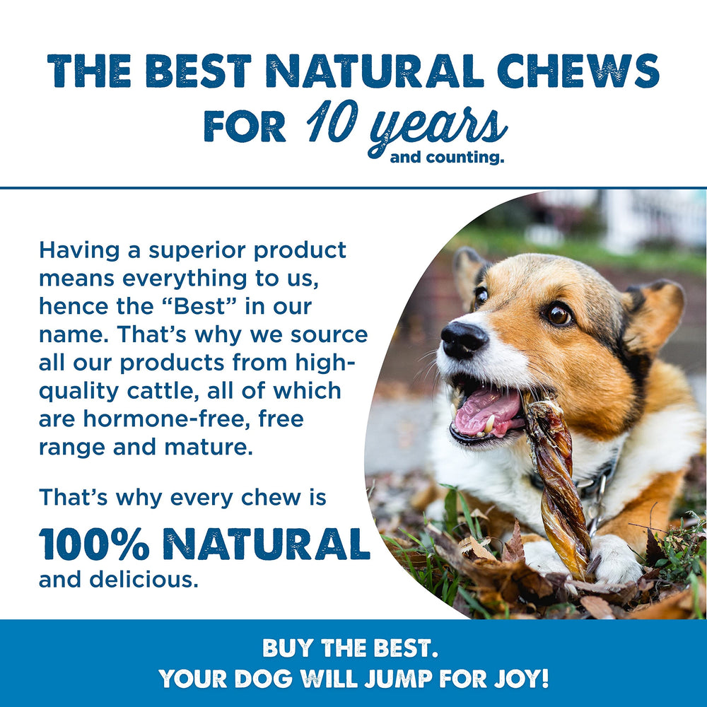 Best Bully Sticks rawhide-free and grain-free, a safer alternative.
