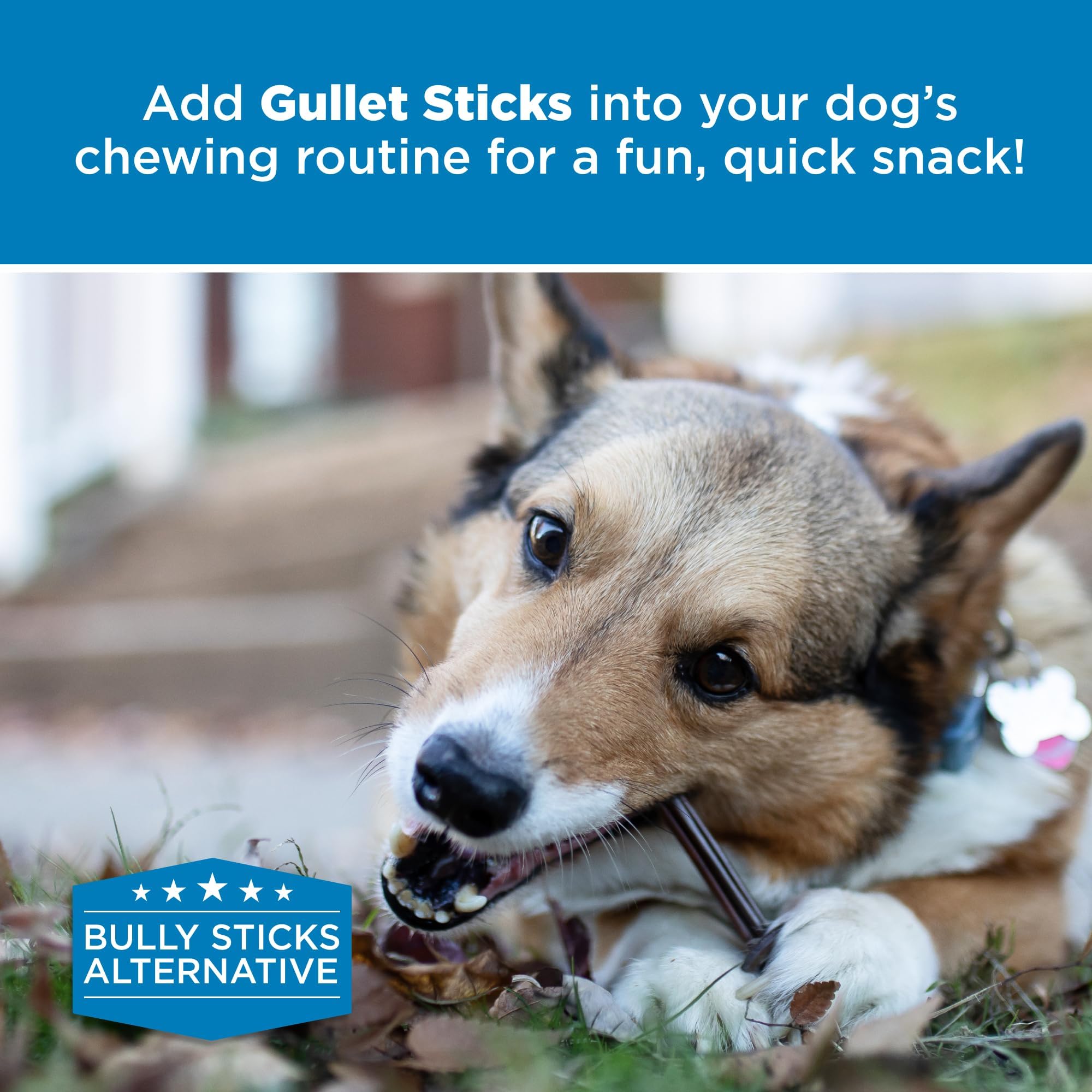 Best Bully Sticks safety and quality chew with high standards
